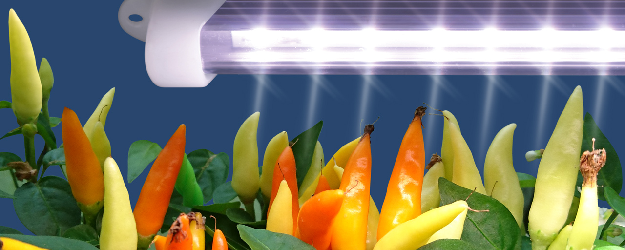 VermiLIGHT: Полноспектральные светодиодные фитосветильники. Досветка растений при недостатке или отсутствии солнечного света.